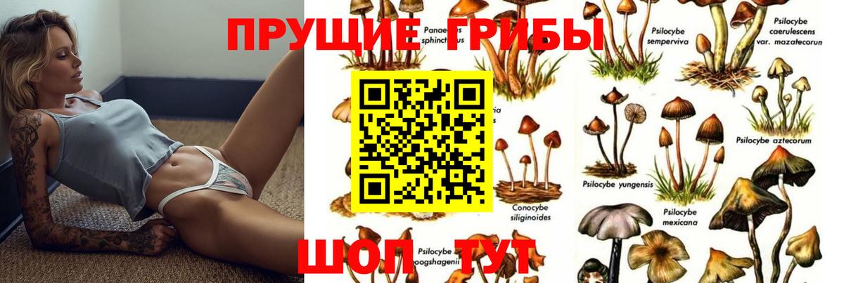 Галлюциногенные грибы Cubensis Бор